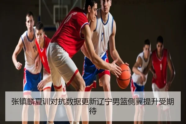 张镇麟夏训对抗数据更新辽宁男篮侧翼提升受期待